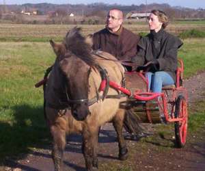 photo Centre equestre du verger Souvigne Sur Meme 6101