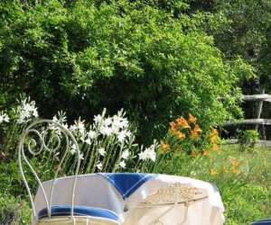 photo Chambres d'htes en sud vende Velluire 5308