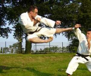 Cholet shorinji kempo Cholet shorinji kempo