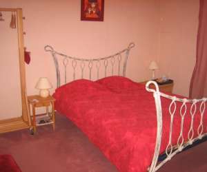 photo Chambres d'hotes/ l'atelier dans la verdure Thouare Sur Loire 4694