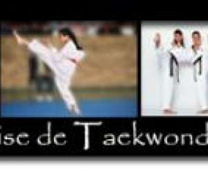 Tae Kwon Do "fdration Franaise De Taekwondo Et Disci