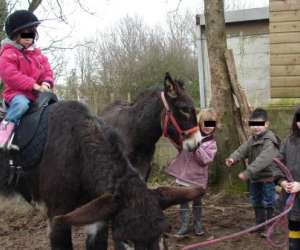 photo Gite pour enfant ' au p'tit bonheur des anes' St Hilaire Le Vouhis 2694