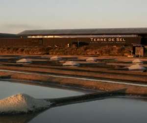 Terre De Sel