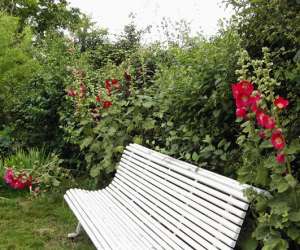 photo Gte sud vende Fontenay Le Comte 2843
