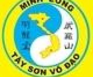photo Viet vo dao - vo co truyen St Herblain 2936