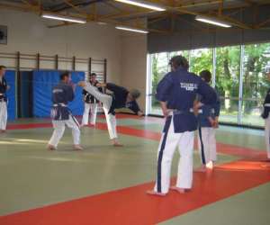 Yoseikan Budo Yonnais