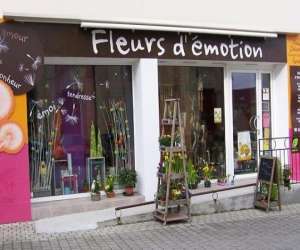 Fleurs D'émotion Fleurs D'émotion