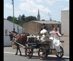 Mariage En Caleche, Prestations Attelage