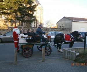 photo Mariage en caleche, prestations attelage St Hilaire De Chaleons 5986
