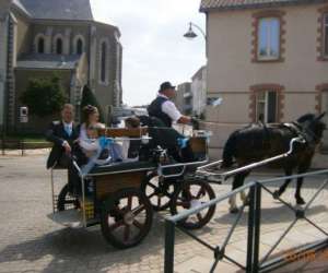 photo Mariage en caleche, prestations attelage St Hilaire De Chaleons 5987