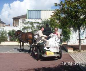 photo Elevage cob normand des roches St Hilaire De Chaleons 4837