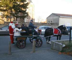 photo Elevage cob normand des roches St Hilaire De Chaleons 5296