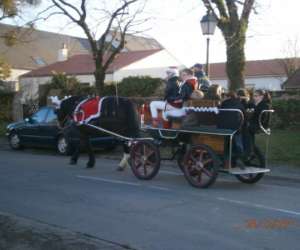 photo Elevage cob normand des roches St Hilaire De Chaleons 5297