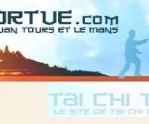 Tai Chi Chuan Pratique Energtique Chinoise