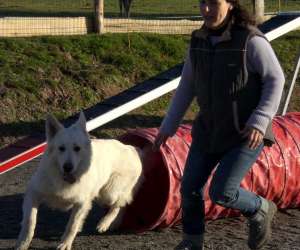 photo Centre d'agility sportez vous chien ! Heric 4663
