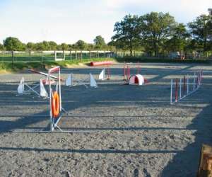 photo Centre d'agility sportez vous chien ! Heric 4664