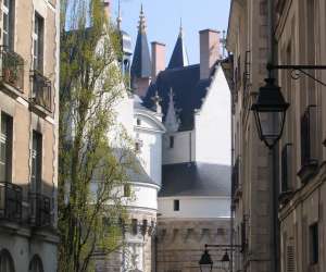 photo Appart d'un soir Nantes 3859