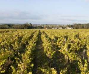 photo Domaine landron chartier Ligne 6717
