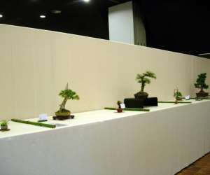 photo Club des amis des bonsai Nantes 4113
