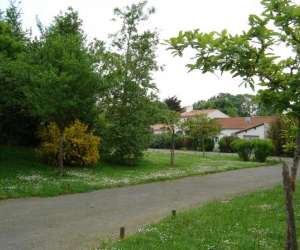 photo Gtes mer et marais  - gites et chambres d'htes vendee Chateauneuf 5275