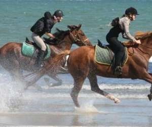 Les curies De St Brvin - Centre Equestre