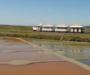 photo Petit train touristique Guerande 4857
