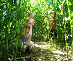 photo Les jardins des renaudies Colombiers Du Plessis 4743