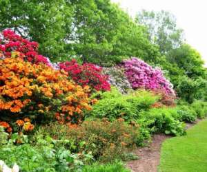 photo Les jardins des renaudies Colombiers Du Plessis 4744