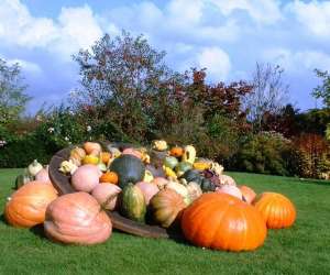 photo Les jardins des renaudies Colombiers Du Plessis 4745