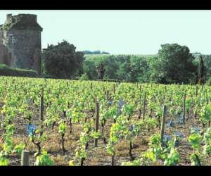 photo Chteau de la galissonnire salles de rceptions Le Pallet 5168