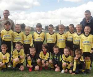 photo Cs le lion d'angers - football Le Lion D Angers 5619