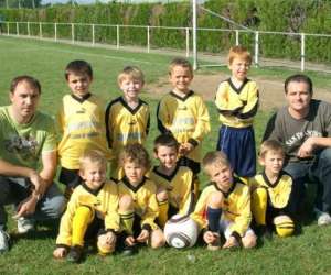 photo Cs le lion d'angers - football Le Lion D Angers 5621