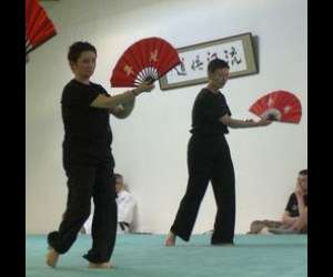 photo Les compagnons du taiji quan Angers 6111