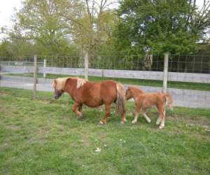 photo Asso le jardin de melisse Montbert 6506
