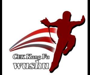 Cek Kung Fu Wushu