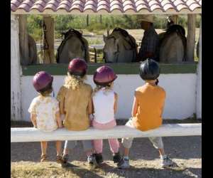 Les curies De La Canterie Nantes