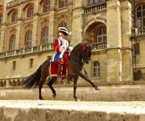 photo Le domaine des cuyers - equitation mayenne Ste Gemmes Le Robert 6709