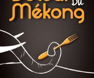 photo Au dtour du mkong St Herblain 6792