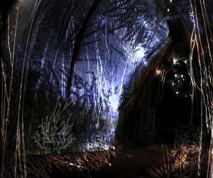 photo Caves troglodytiques des perrires Doue La Fontaine 7280