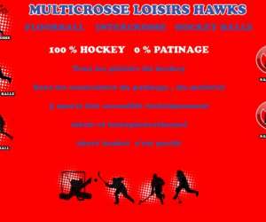 Multisport Hockey