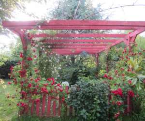 photo Jardin les couleurs du temps Lavernat 7490