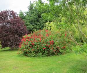 photo Jardin les couleurs du temps Lavernat 7494