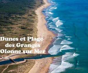 photo Villa portus secor - gte et  chambre d'htes   Olonne Sur Mer 7500