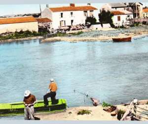photo Villa portus secor - gte et  chambre d'htes   Olonne Sur Mer 7507