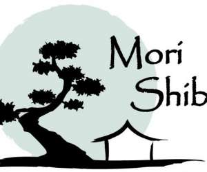 Mori-shiba Aikido