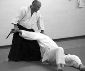 photo Mori-shiba aikido Nantes 8023