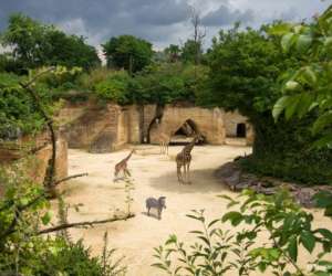 Bioparc De Dou-la-fontaine