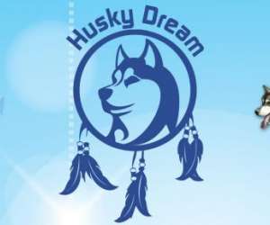 Husky Dream, Chiens De Traineau