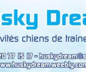 photo Husky dream, chiens de traineau Brigne 8508