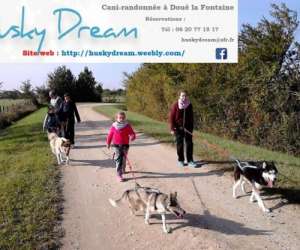 photo Husky dream, chiens de traineau Brigne 8510